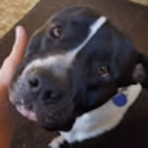 Meet your Posher, Jeff